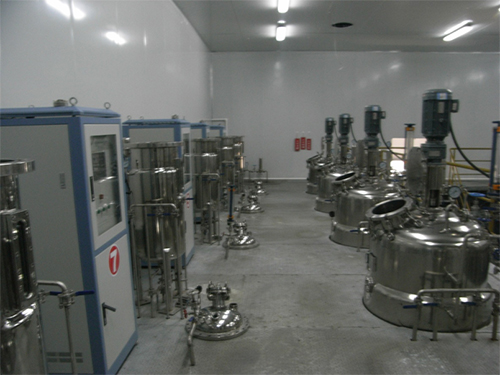 黑尊食用菌項目