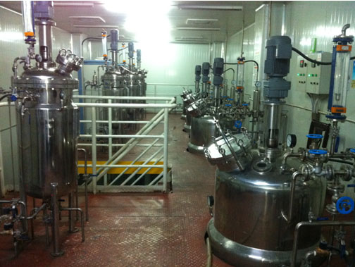 山西食用菌工程，日產(chǎn)3.5萬(wàn)袋杏鮑菇